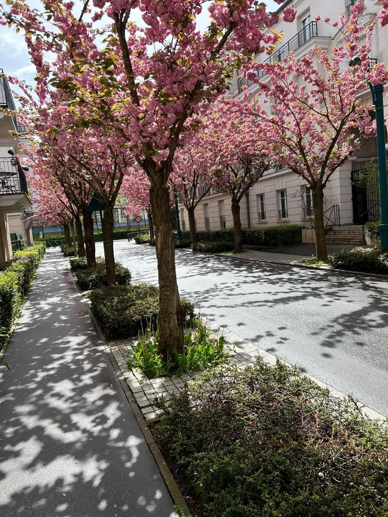 Sweet Appartement Disneyland Paris Parking 300M Station Val D'Europe シェシー エクステリア 写真